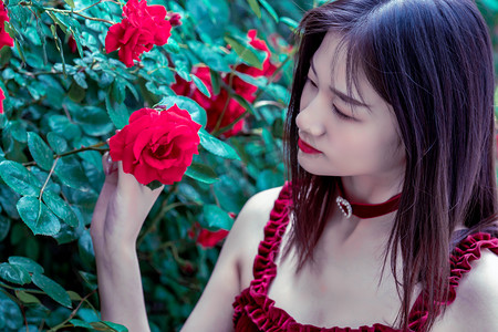 第17届影响世界华人盛典将在京举行